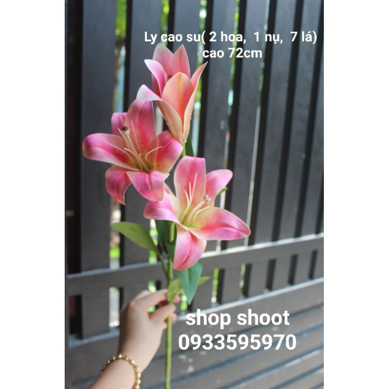 HOA LILY CAO SU TRANG TRÍ NHÀ