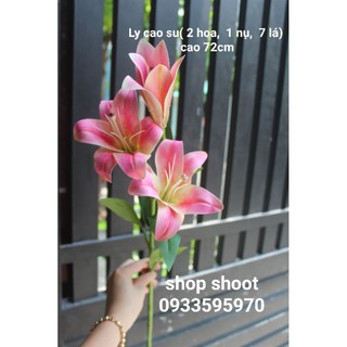 HOA LILY CAO SU TRANG TRÍ NHÀ