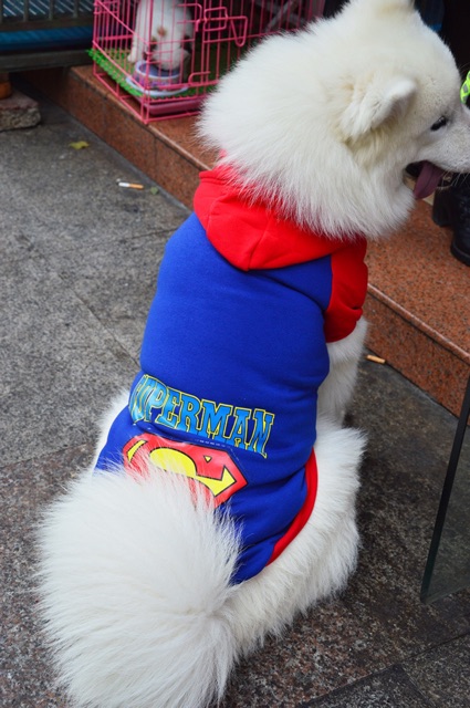ÁO CHO CHÓ MÈO HÌNH SUPER KÈM MŨ CÓ SIZE LỚN