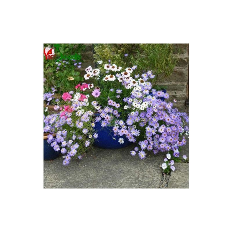 Phân bón 3 màu Đầu Trâu MK 20-20-15 Trăng trưởng mạnh, chối lá khỏe, ra hoa nhiều 1kg