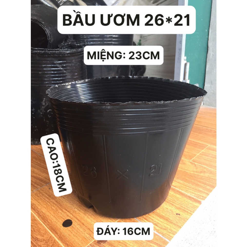 BẦU ƯƠM CÂY 26*21 DÀY VÀ MỎNG ( DỊCH TRUYỀN CHO CÂY, KÍCH RỄ , MẦM CÂY XANH LÁ, LƯỚI CHE NẮNG...)