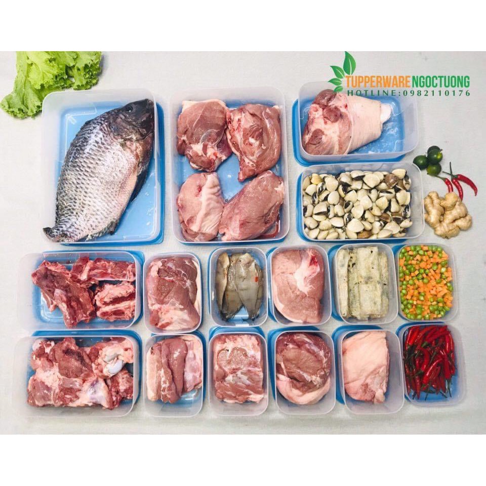 Hộp bảo quản thực phẩm tupperware 1/2 set đông 16 / 7 đông tím / set đông 16