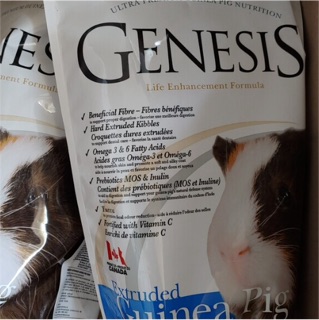 Nén Cao Cấp Genisis Dành Cho Guinea Pig Mọi Lứa Tuổi