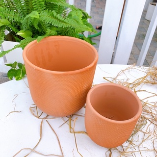 Chậu đất nung trồng cây vân nổi đủ size
