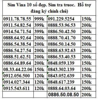 Sim Vina 10 đẹp