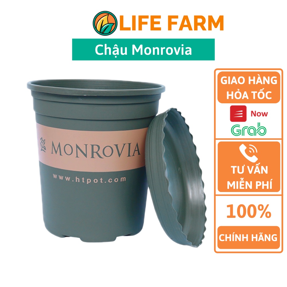 Chậu Nhựa Monrovia (Kèm Đĩa Lót) Trồng Cây và Hoa Siêu Xinh Nhiều Size (CMR-001)