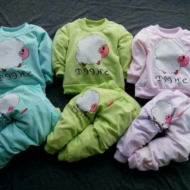 Set 5 bộ nỉ da cá