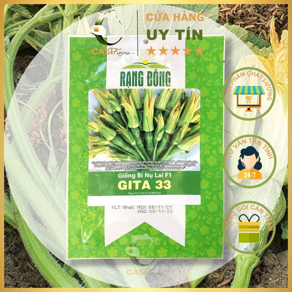 Hạt Giống Bí Nụ Lai F1 GITA 33 Gói 8 hạt