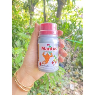 nhân sâm cây trồng mantus chai 100ml
