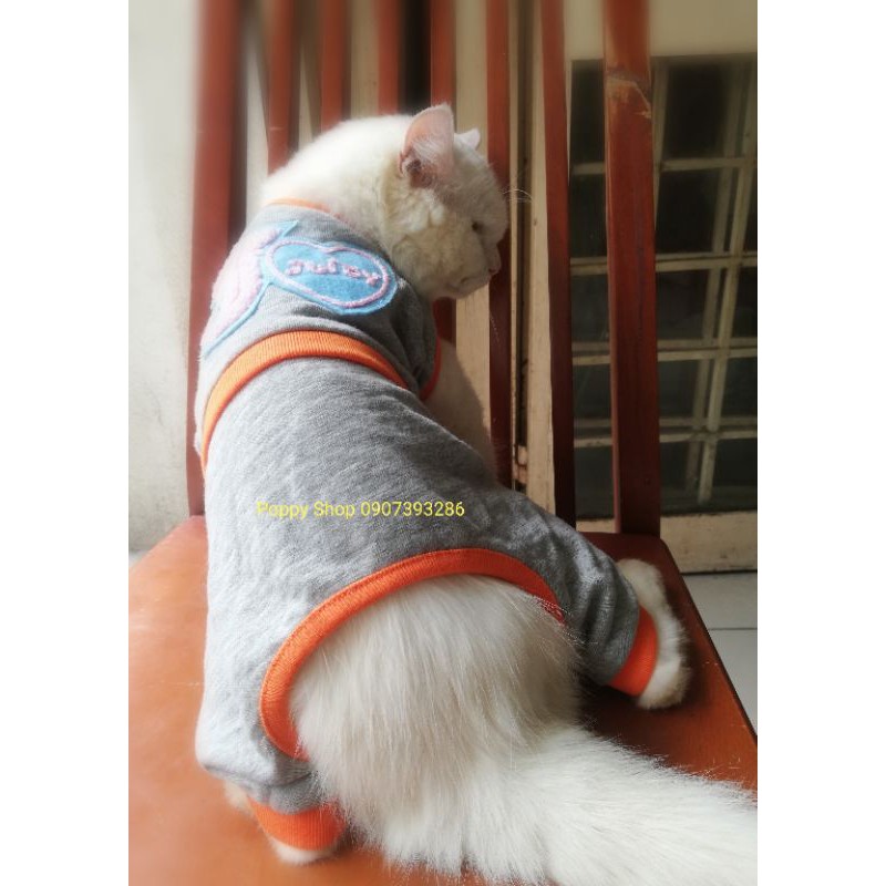 Áo Jumpsuit Cho Chó Mèo Áo Thun Liền Quần Màu Xám Viền Cam Cho Chó Mèo 3-5 Kg
