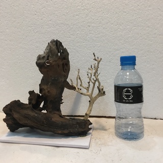 Layout, bố cục lũa thủy sinh bonsai ghép đá, bonsai lũa