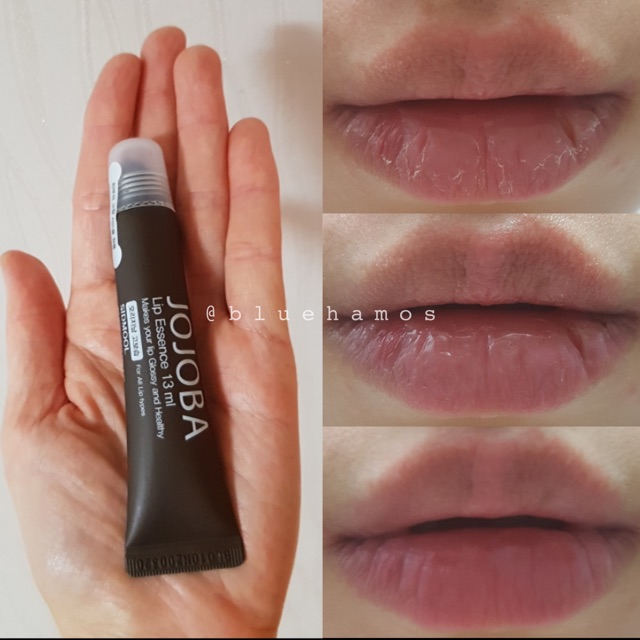 Son dưỡng môi Sidmool Jojoba lip essence