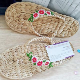 Tông lục bình quai chéo