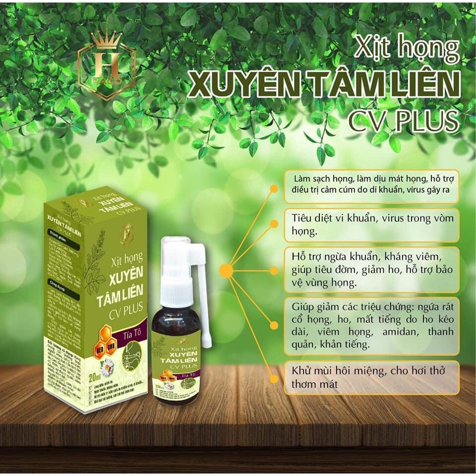Xịt Họng Xuyên Tâm Liên CV PLUS