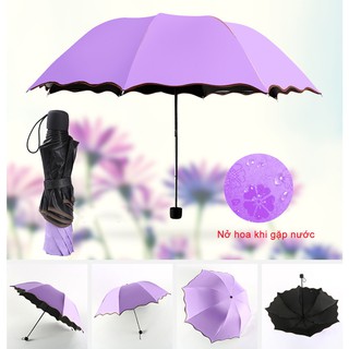 Dù ô chống tia cực tím UV - Dù che nắng ô che mưa tím xanh lá đỏ hồng xanh hồ chống gió và bức xạ mạnh
