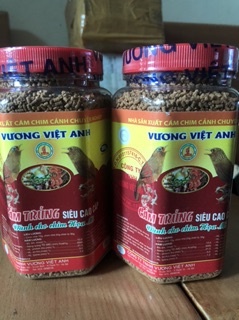 Cám mi vương Việt anh