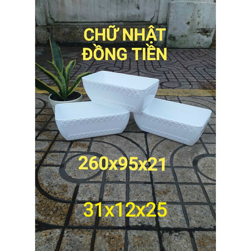 Chậu nhựa Đồng Tiền