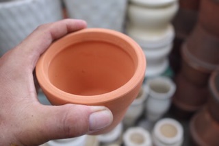 Chậu đất nung trồng cây