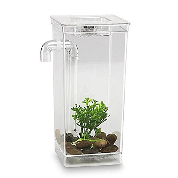 Bể Cá Mini Tự Vệ Sinh Có Đèn Led