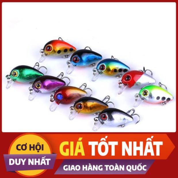 Mồi ruồi câu cá chuyên các loại cá rô phi, rô ta, chuối, lóc, sộp, thiểu - ĐỒ CÂU PHÍA BẮC - S1
