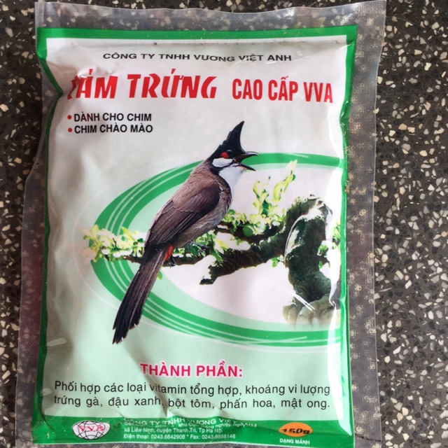 Cám trứng chào mào VVA