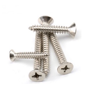 Vít chìm inox 304 bắt gỗ, tắc kê nhựa (gói 100gr)