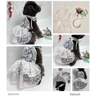 Váy ren trắng 2 dây cho cún cái