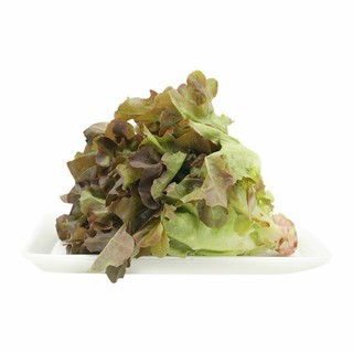 Hạt giống xà lách Oakleaf (Sồi tím) gói 2gr
