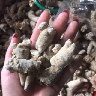 Củ tham thất khô Simacai