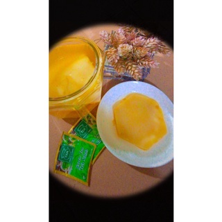 Scoby size m và nước mồi