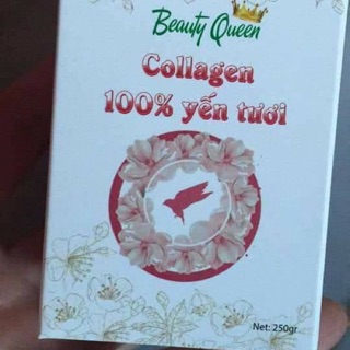 Copo collagen 100% yến tươi