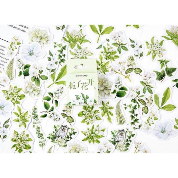 Bộ 46 Sticker Cây Cỏ Hàn Quốc dán trang trí E68