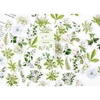 Bộ 46 sticker cây cỏ hàn quốc dán trang trí e68