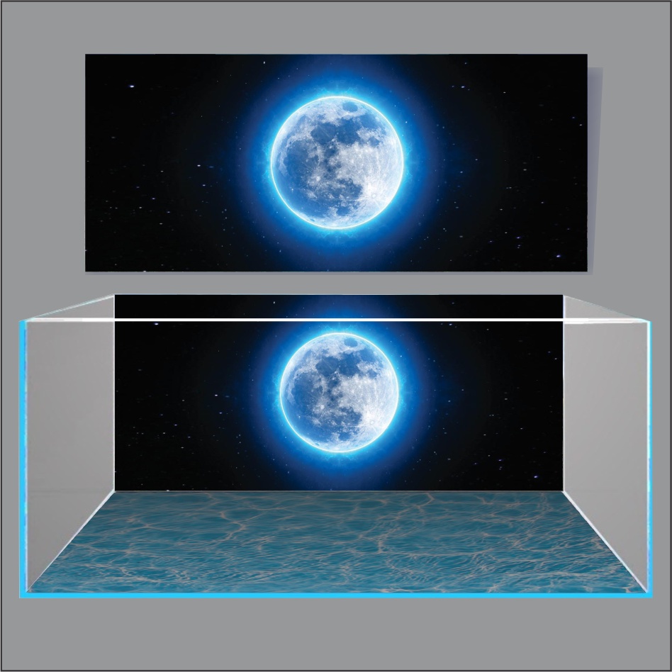 TRANH 3D DÁN HỒ CÁ NEW MOON LIGHT_TRANH LƯNG