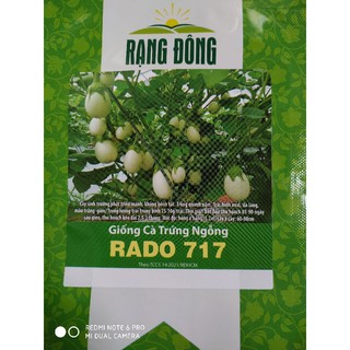 Hạt giống Cà trứng ngỗng 0.5gr❤️FREESHIP XTRA❤️