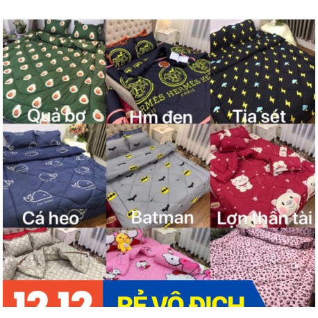 Bộ ga gối cotton poly HCM