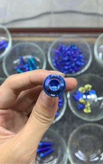 Ốc đĩa thắng titan proti
