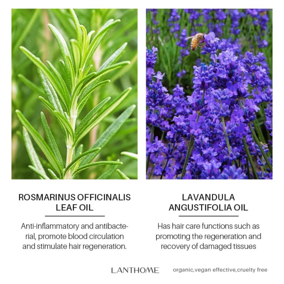 ❥ Serum Nuôi Dưỡng Mi Dạng Lỏng Nhẹ Dịu 2022-Lanhome 10ml ♡ | BigBuy360 - bigbuy360.vn