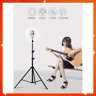 Đèn Led livestream, đèn livestream hỗ trợ trang điểm, chụp ảnh, quay phim 3 chế độ sáng