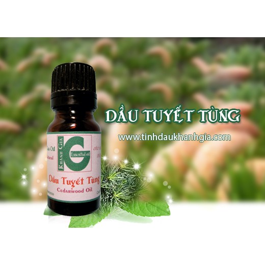 Tinh dầu tuyết tùng