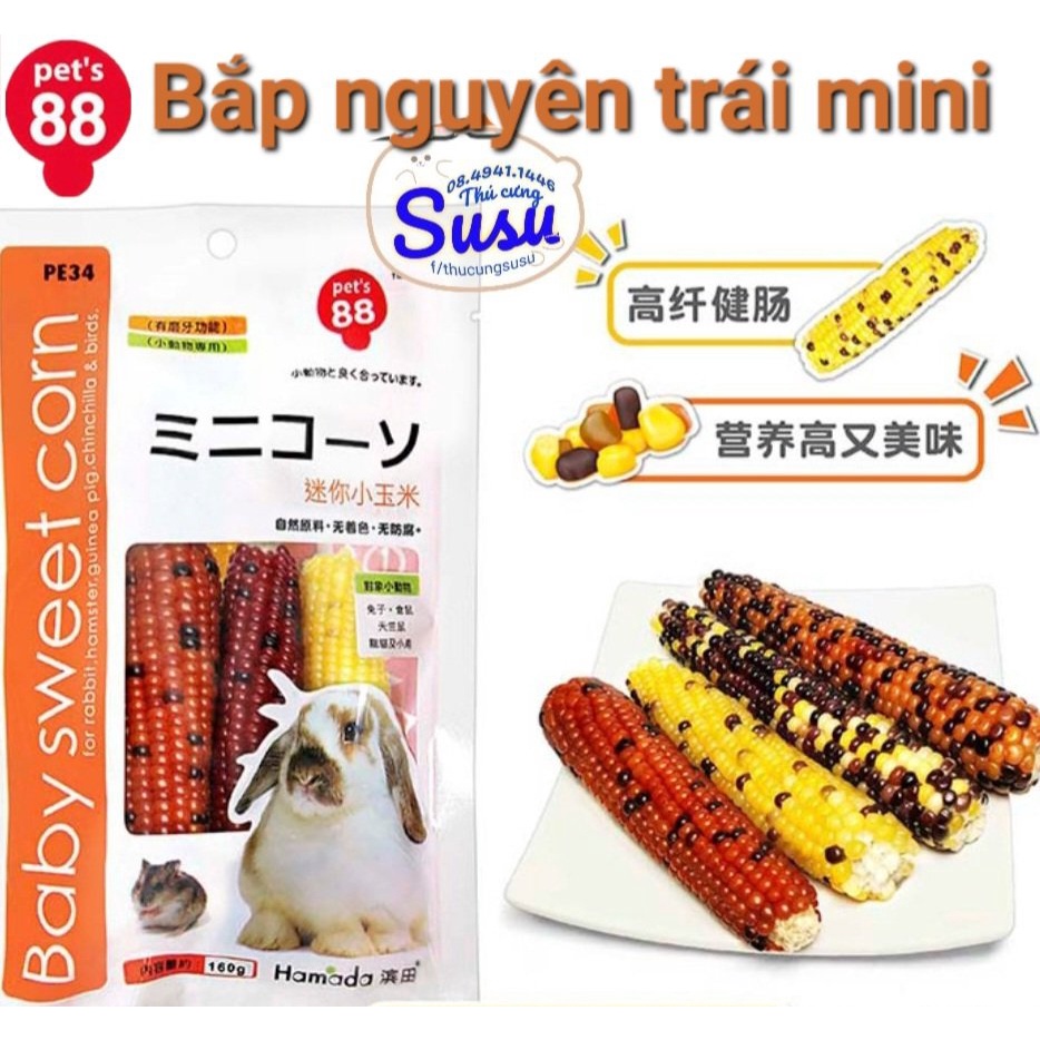 Bắp ngọt Mini dùng cho Thỏ, Hams, Bọ Ú và Chim