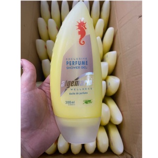 SỮA TẮM CÁ NGỰA VÀNG LOẠI 1 SIÊU THƠM