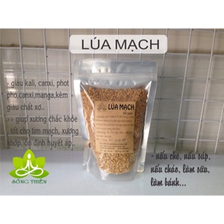 LÚA MẠCH - 500 GRAM