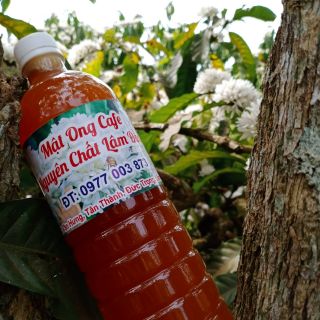 Mật ong thiên nhiên nguyên chất 1lít