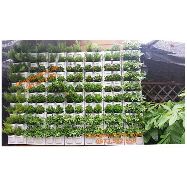 Combo 30 chậu vườn tường thông minh