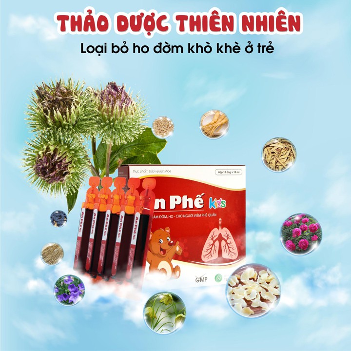 An Phế Kids - giảm ho đờm khò khè, viêm phế quản trẻ em