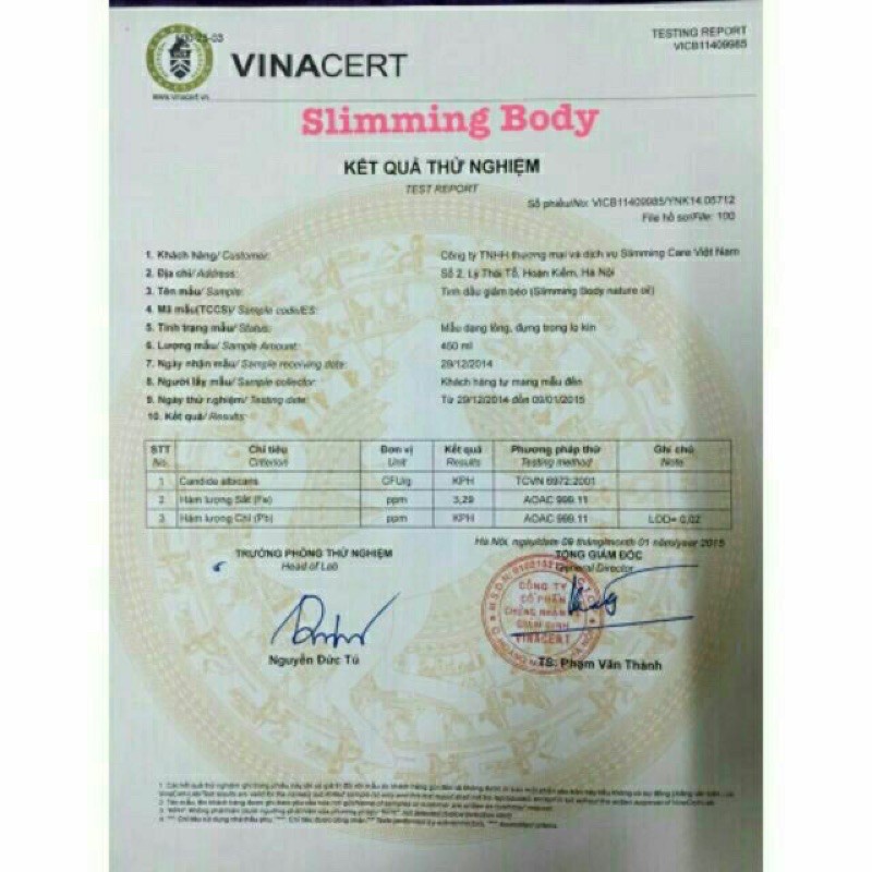 Đai điện Slimming Body SB-2 Cải Tiến Lẻ