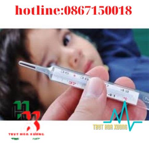 Hộp 12 Cái Nhiệt Kế Huỷ Ngân Đo Nhiệt Độ Cơ Thể