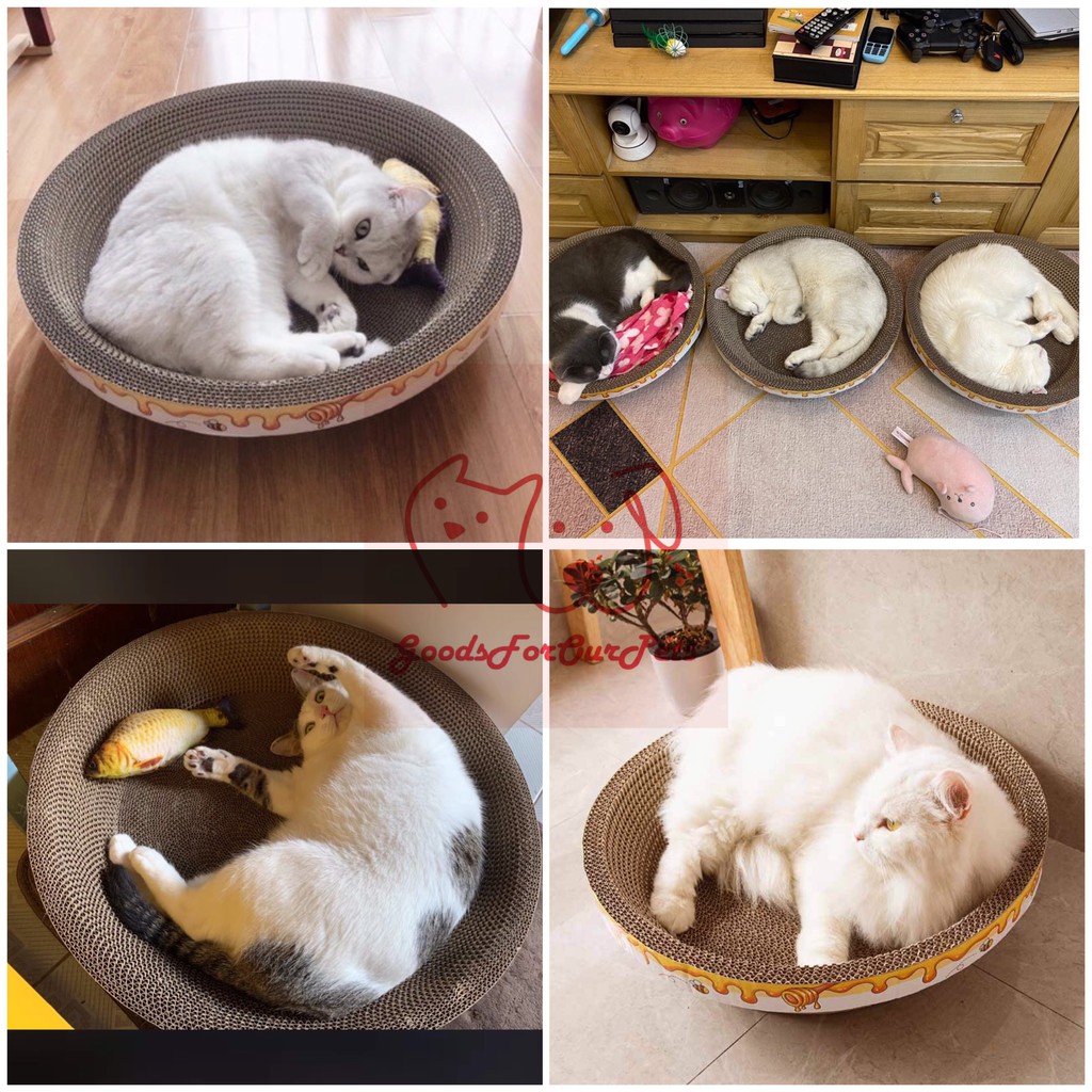 Cào móng cho mèo hình tròn kết hợp ổ nằm tặng kèm cỏ bạc hà - 4pets official