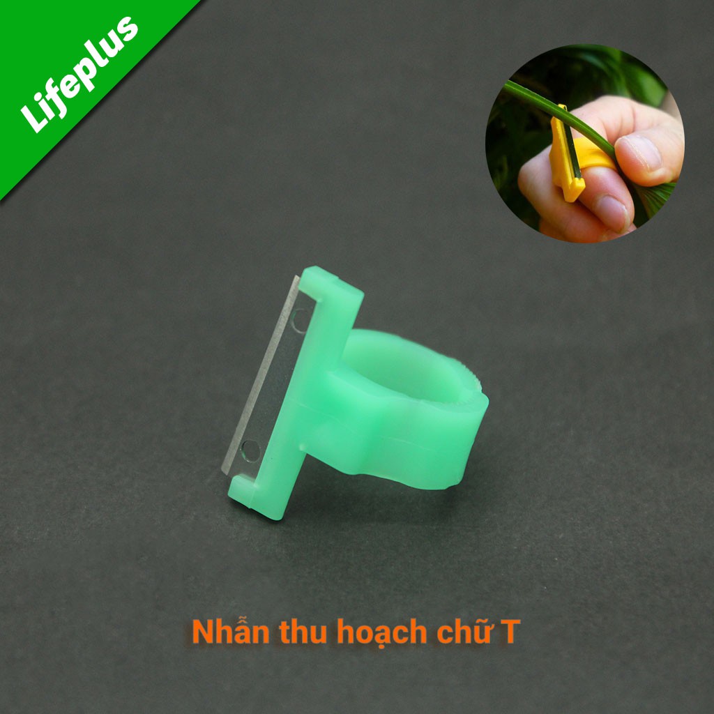 Nhẫn cắt thu hoạch chữ T